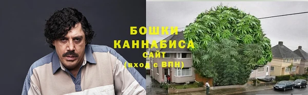 гашиш Богданович